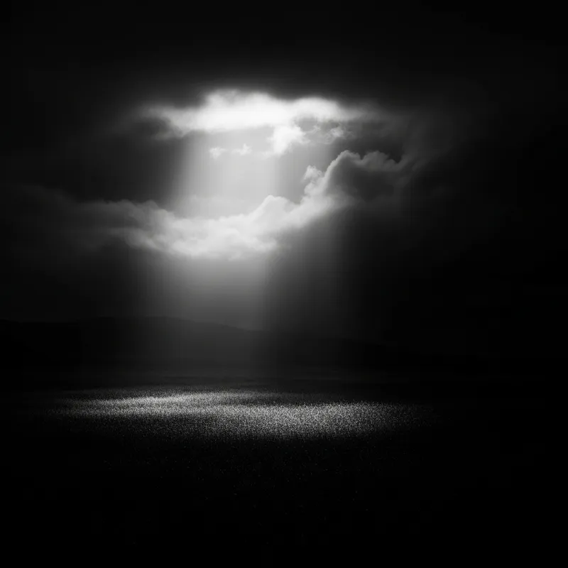 Luces y Sombras: Light and Shadow in Art