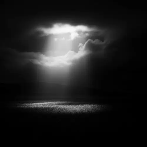 Luces y Sombras: Light and Shadow in Art