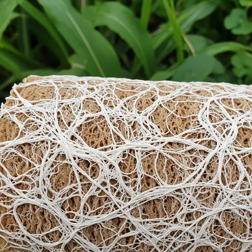 Natural Mycelium Composite | Strength & Resilience Displayed