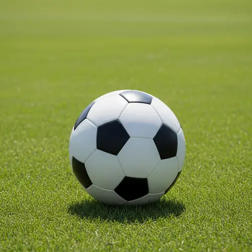 Traditional Black and White Football on Green Grass Field