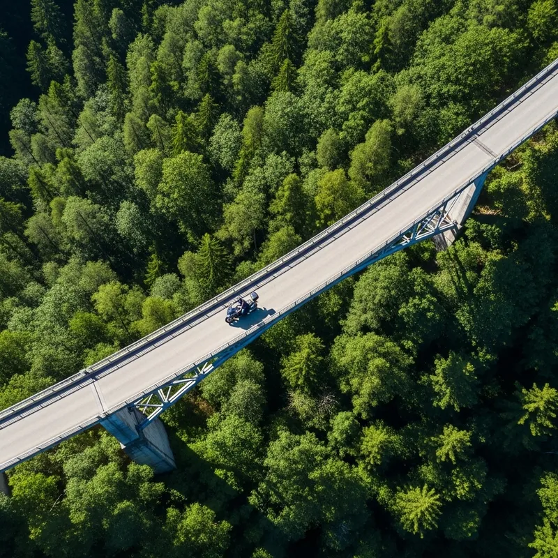 Aerial View of Forest & Motorcyclist on Bridge