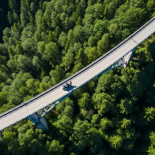 Aerial View of Forest & Motorcyclist on Bridge