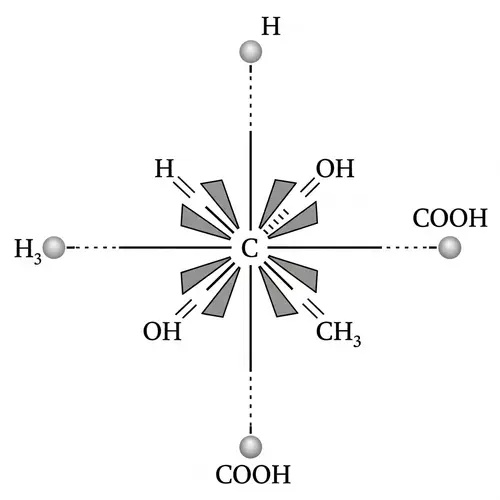 Fisher Projection Molecule Illustration
