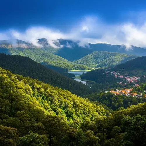 Enchanting Kodaikanal Hills: Lush Greenery & Serene Lake View