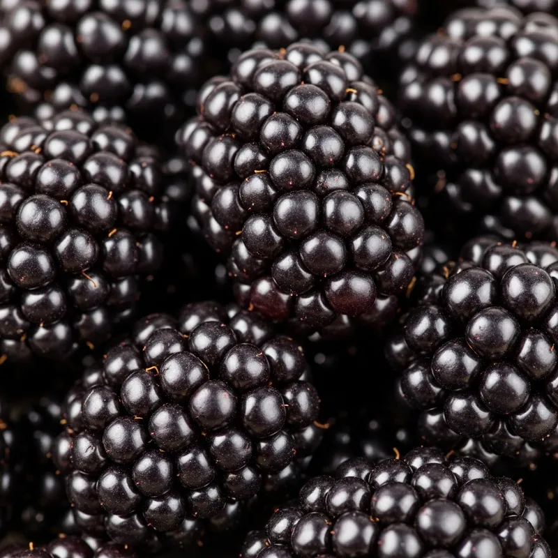 Ripe Moras - Dark Purple Blackberries Online Ripe Moras - Dark Purple Blackberries Online