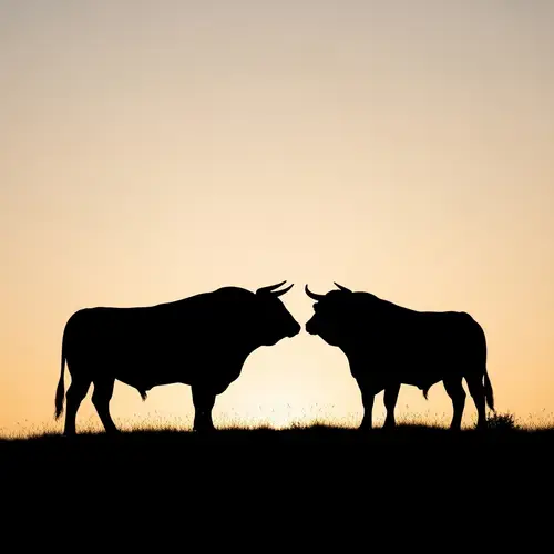 Detailed Silhouette of Two Gossipy Bulls