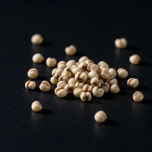 Finger Millet Grain Photography - Exquisite Detailed Image