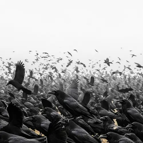 Black Ravens Army - Mysterious and Powerful Image