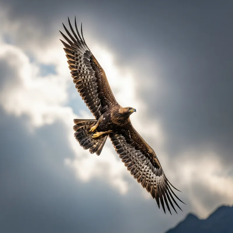 Majestic Golden Eagle in Flight - Nature Photography