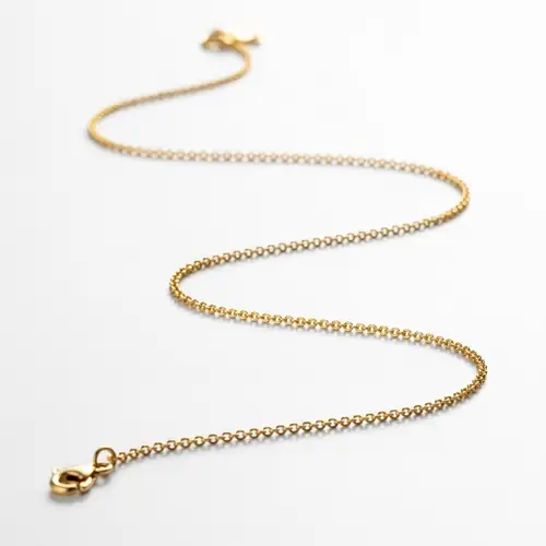 Delicate Golden Chain on White Background