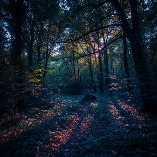 Mystical Forest at Twilight - Enchanting Nature's Ethereal Glow