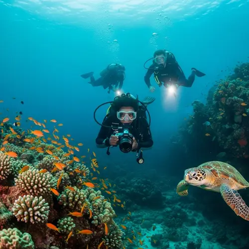 Underwater Diving Experience: Explore Marine Life with Divers
