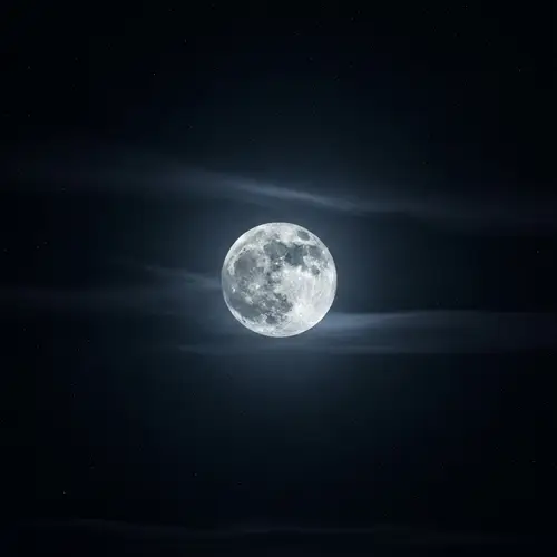 Mysterious Moonlit Night with Stars