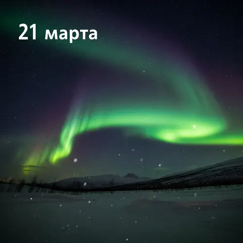 Captivating Northern Lights at Aurora Village in Murmansk