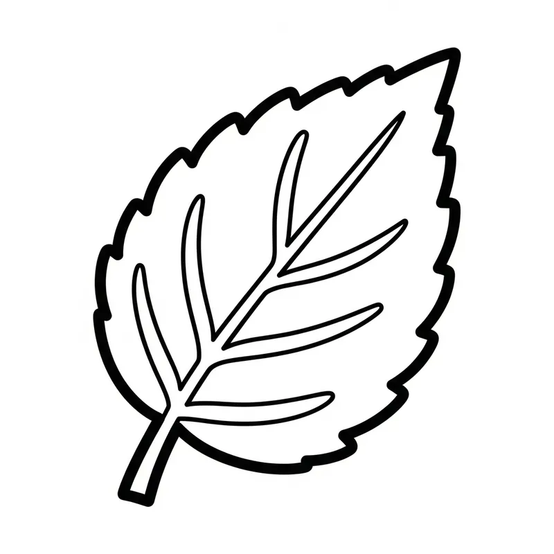 Simple Elm Leaf Coloring Page for Young Children
