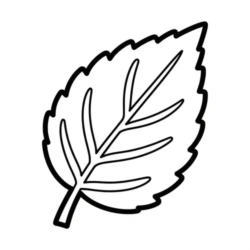 Simple Elm Leaf Coloring Page for 2-Year-Olds