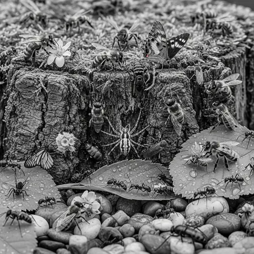 Insect Gathering on Mossy Backdrop: Bees, Spiders, Ants, Butterflies