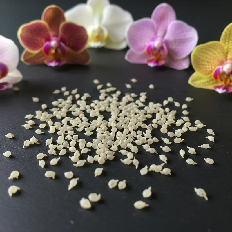 Orchid Seeds: A Glimpse into Nature's Intricacy