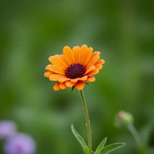 Vibrant Blooming Flower in Summer Sunlight