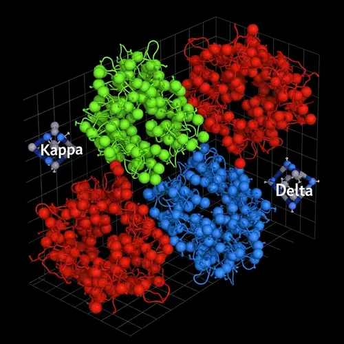Kappa, Mu, Delta Receptors Crystal Structure Visualization | PDB