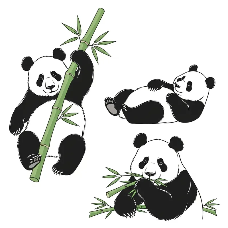 Cute Panda Vector Art: Three Adorable Poses in Vectors