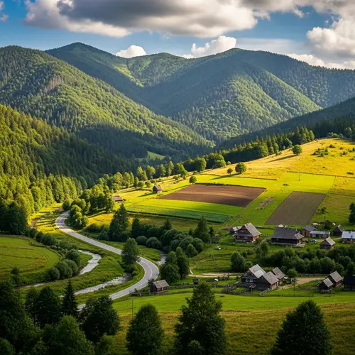 Human Impact on Bieszczady Mountains Landscape