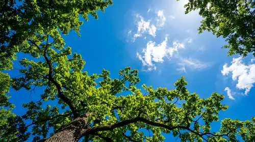 Stunning 4K Photography of a Sunny Day