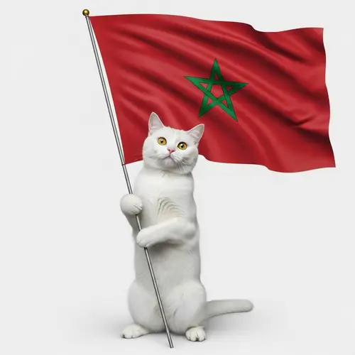White Cat Holding Flag of Morocco - Patriotic Feline Moment