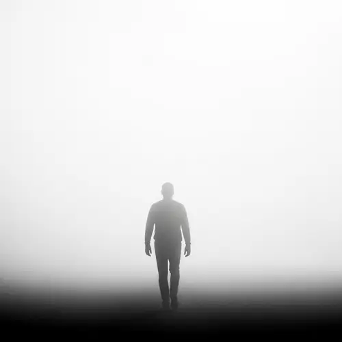 Silhouette Man Walking Away in Fog