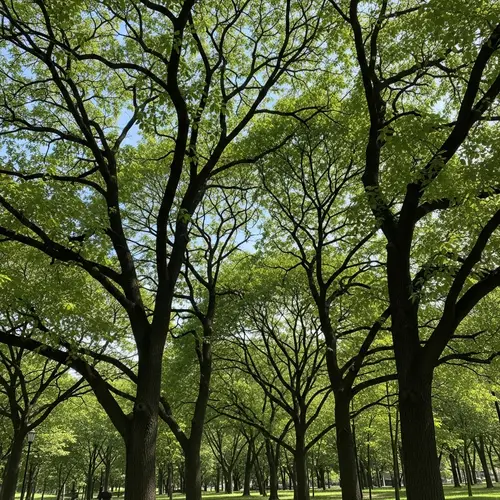 Tranquil Park with Diverse Trees and Illuminated Details
