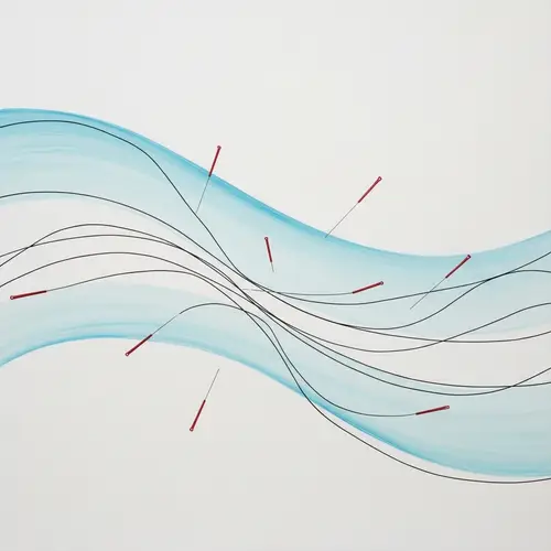 Traditional Japanese Style Acupuncture Healing Art