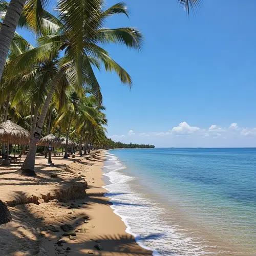 Azure-Blue Coastal Scene with Palm Trees | Serene Atmosphere