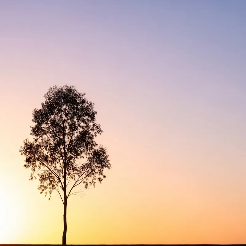 Minimalist Nature Wallpaper - Tranquil Tree Silhouette Sunset