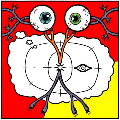 Pop Art Cartoon of Visual Pathway with Two Eyes