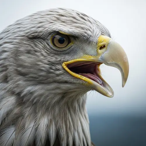 Majestic Eagle Head with Sharp Eyes and Proud Aura