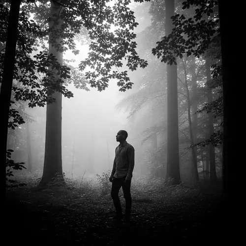 Misty Forest Solitude: Vintage Black & White Photography