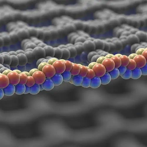Crystal Lattice Edge Dislocation: Distinct Atomic Phenomenon