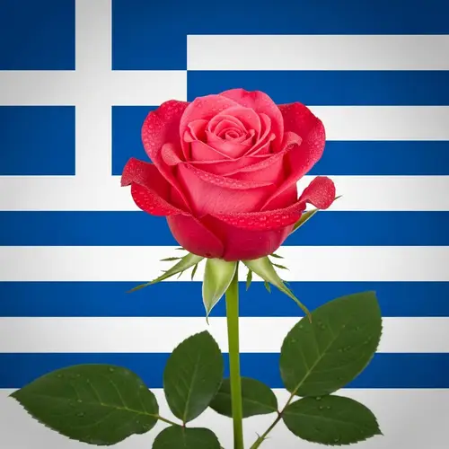 Vibrant Rose on Greek Flag | Stunning Floral Contrast