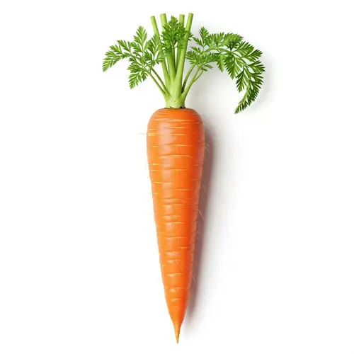 Vibrant Orange Carrot | High-Quality PNG Image