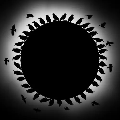 Mysterious Flock of Crows in Black Style