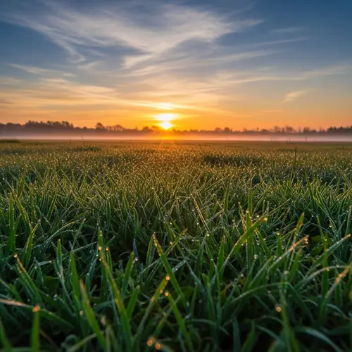 Charming Sunrise in Open Nature - Tranquil Morning Scene