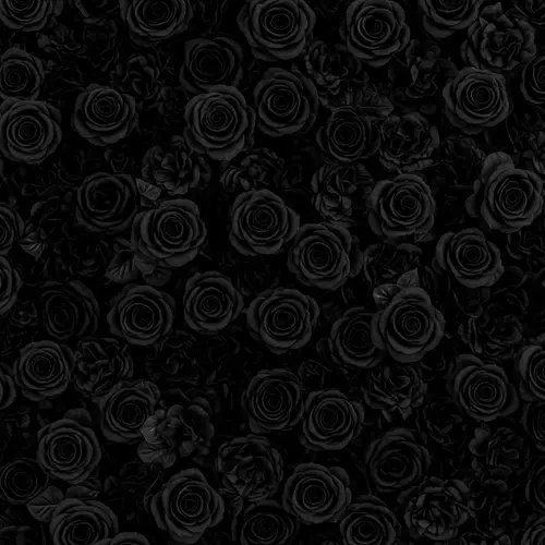 Pitch Black Blossom Background - Intriguing Beauty