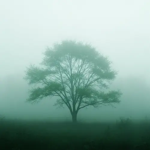 Tranquil Tree in Misty Forest - Capturing the Essence of Nature