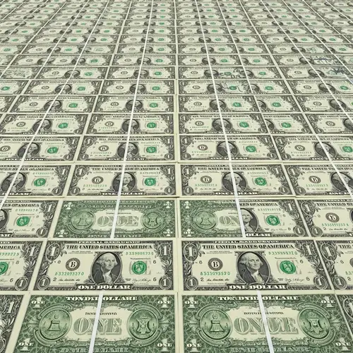 Army of 1,000 Dollars: A Visual Tribute to Dollar Bills