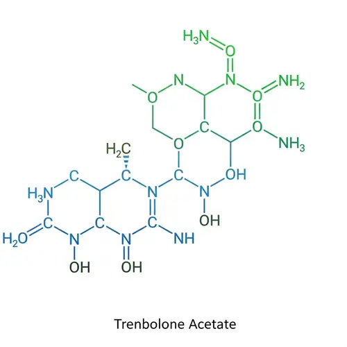 Trenbolone Acetate: Detailed Scientific Illustration