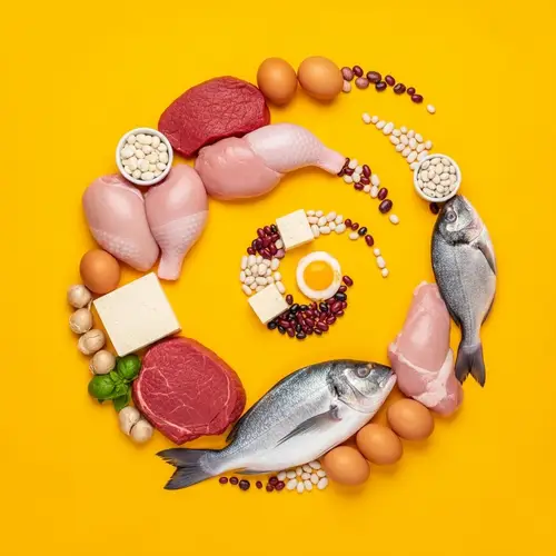 Protein-Rich Foods Variety | Abstract Food Composition