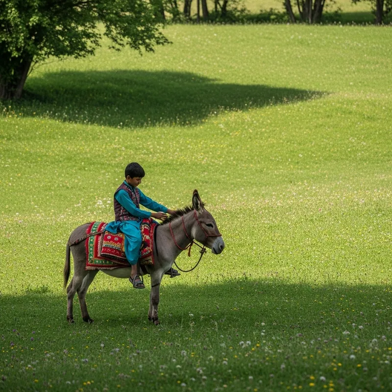Indian Boy Seated on Donkey in Picturesque Village Field