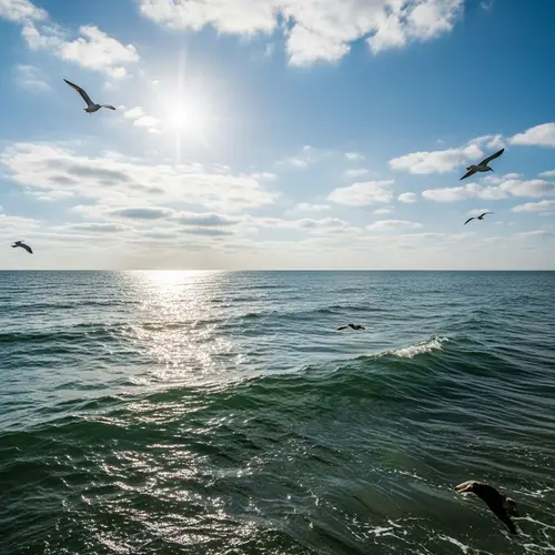 Tranquil Seascape: Peaceful Ocean Views | Website Name