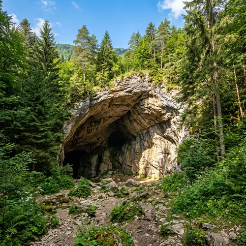 Big Gape Cave: Natural Entrance in Lush Green Forest