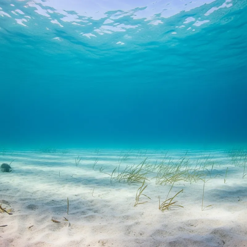 Crystal Clear Ocean View